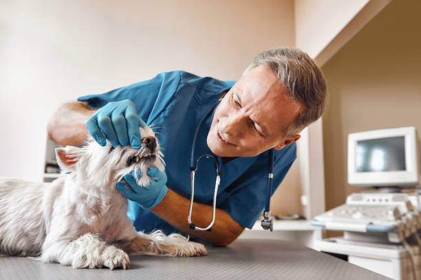 Best Weekend Emergency Dentist in Granville, OH